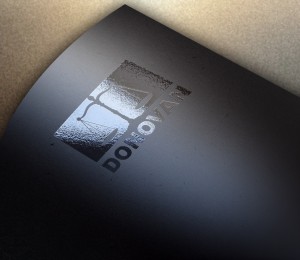 Creación de logotipo profesional para DONOVAN