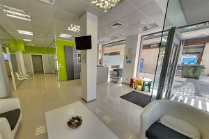 el mejor seo en valencia